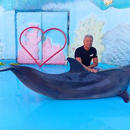 ����, ������, 62 ����