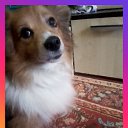  ,  , 36  -  31  2023