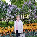 ���� ���������, ����� - ��������� 5 ��� 2025 � ������ ���� ����������