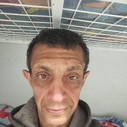 , 48, 
