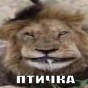   , , 95  -  27  2025