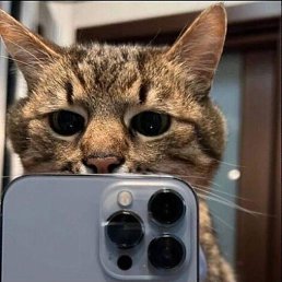 ����, ������, 39 ���