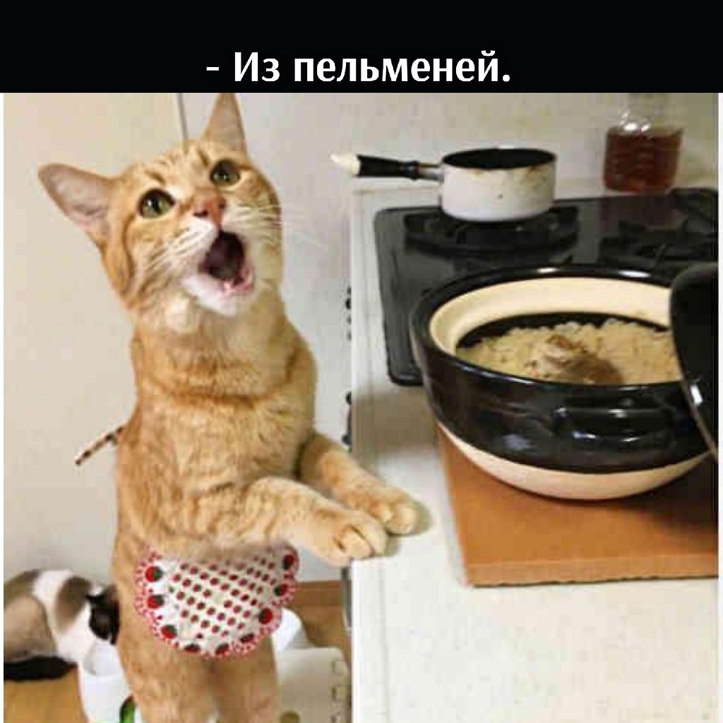 ��� ���� � ����� �� �� - 11 ����� 2026 � 13:00 - 3