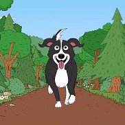 �������, 37 ���, ������