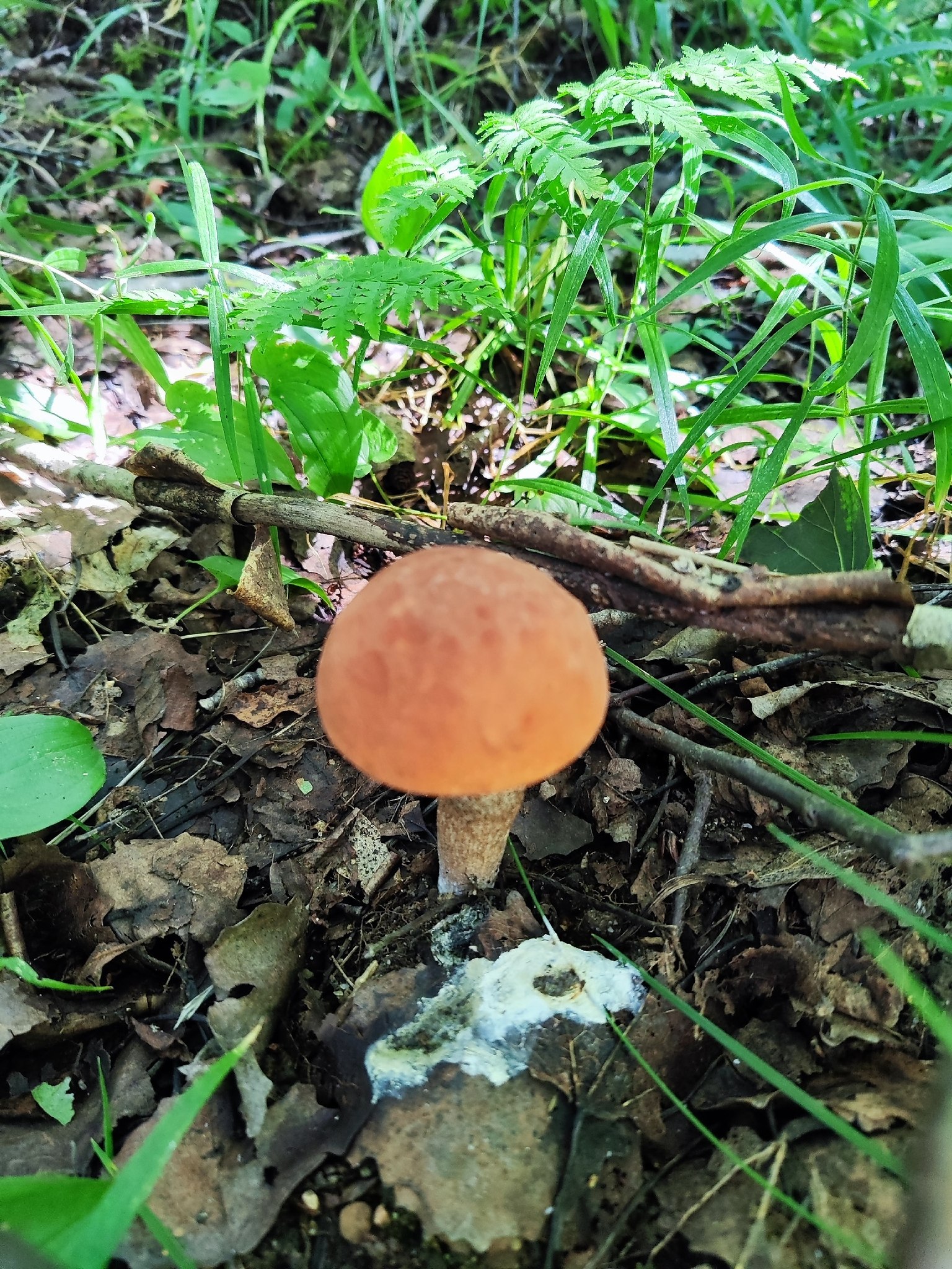   - 3  2025  14:49 - 6