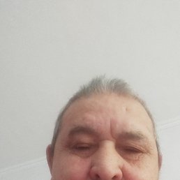 , 67, 