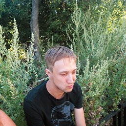 ���� ����, ������ ��������, 41 ��� - ��������� 7 ����� 2026