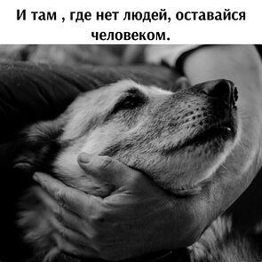   ! - 23  2025  11:28