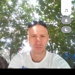 , 39, 
