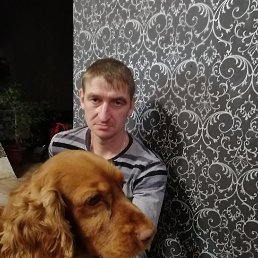 , 41, 