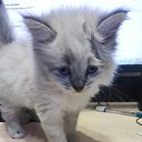 ���� ������, ������ - ��������� 13 ������ 2025 � ������ ������ ��������