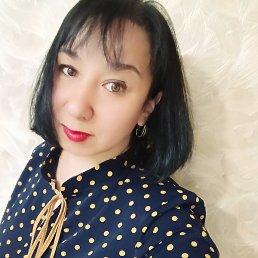 ������, ����������, 41 ���