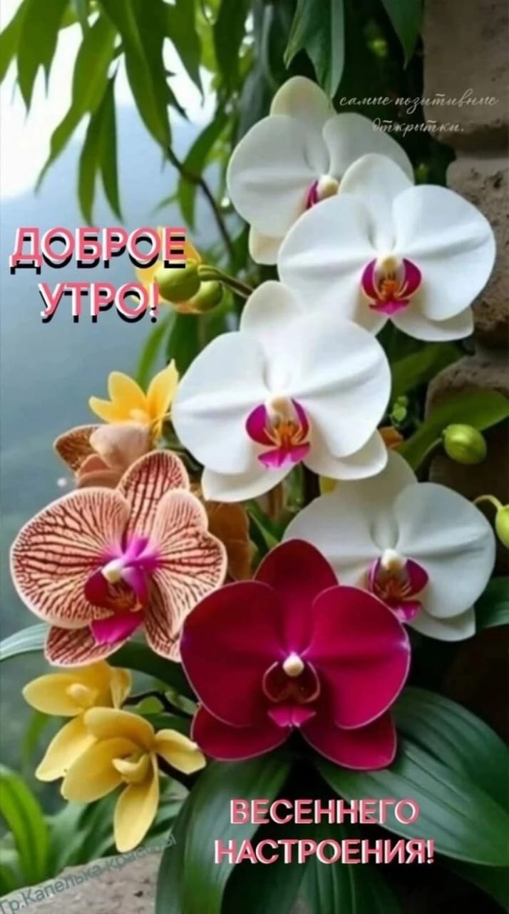 ***Victoria Viktorovna*** - 19  2025  07:01