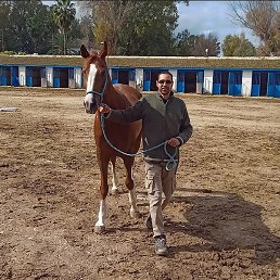Houssem, �����, 30 ���
