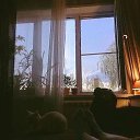 ���� �����, ����, 22 ���� - ��������� 10 ������ 2025 � ������ ���� ����������
