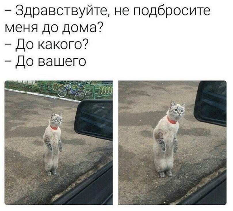 ? ,  ! - 18  2025  00:27