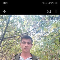 , 41, 