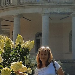 ����, �����, 53 ����