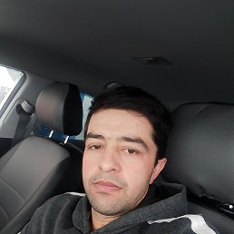 , 29 , 