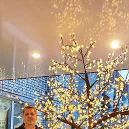 , 54, 