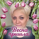 ���� �������, ��������, 48 ��� - ��������� 2 ��� 2026 � ������ ���� ����������