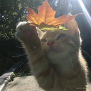 ������, 24 ����, ���������� �����