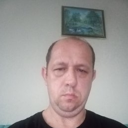 , 41,  