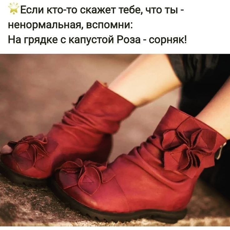   - 6  2025  15:17
