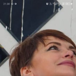 ���� �������, ����, 48 ��� - ��������� 26 ����� 2024