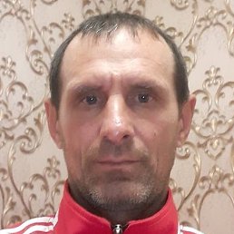 ������, ������������, 49 ���