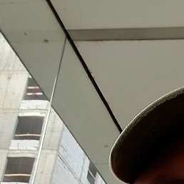 ������, ������, 38 ���