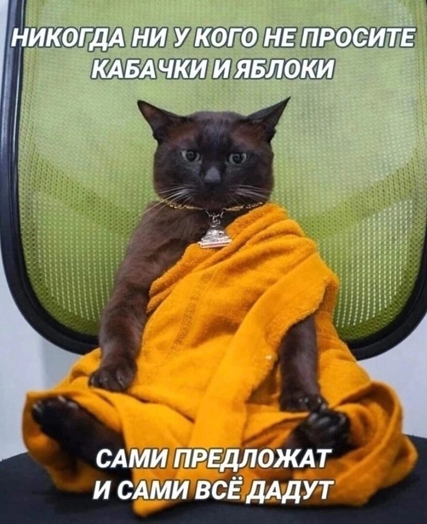  - 31  2024  16:09