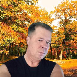 , 55,  