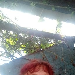 ., 54, 