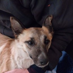 ������, ������, 58 ���