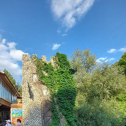 �����, ������, 51 ���