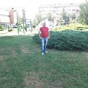 Stevica, , 37  -  8  2024    