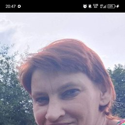�������, 38 ���, ����