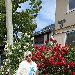 , 61, 