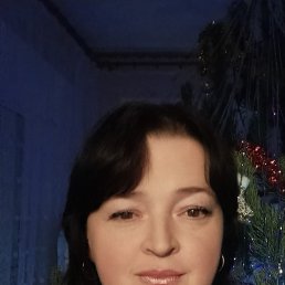 , 48, 