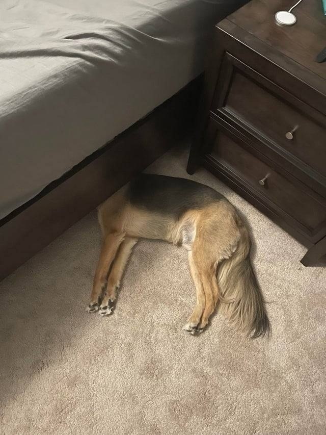   - ,  