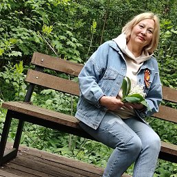 �������, �������, 64 ����