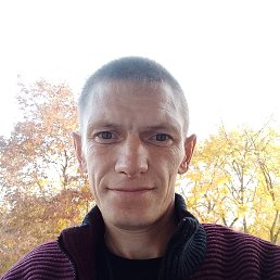 , 40,  