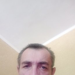 �����, 58 ���, ���������