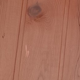 �����, �����������, 55 ���