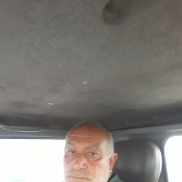 , 54, 