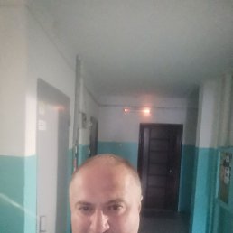 , 43, 