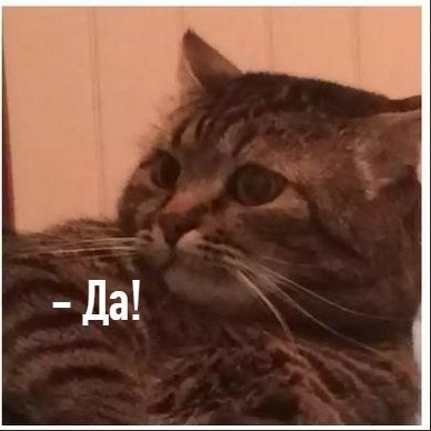��� ���� � ����� �� �� - 2 ���� 2026 � 11:02 - 2