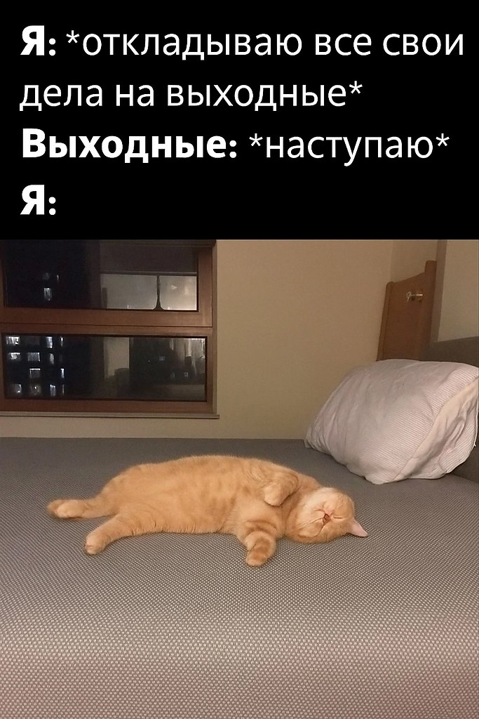   - 10  2025  15:45