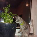 ���� �������, ������, 55 ��� - ��������� 21 ������� 2024 � ������ ������ ��������